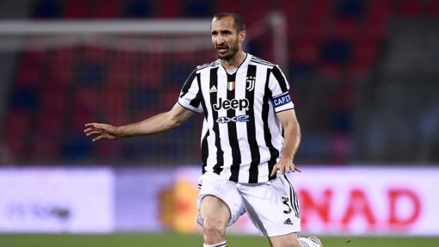 جورجيو كيليني يعود إلى يوفنتوس بمنصب إداري