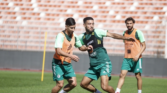 التشكيل المتوقع لمنتخب الجزائر في مباراة توغو