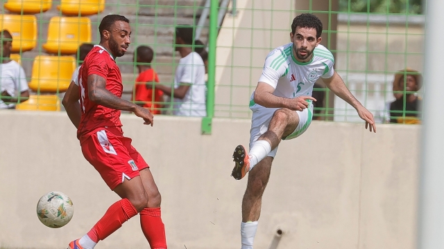 بيتكوفيتش نجح في تغيير خطة لعب الخضر ونسي أهم شيء!